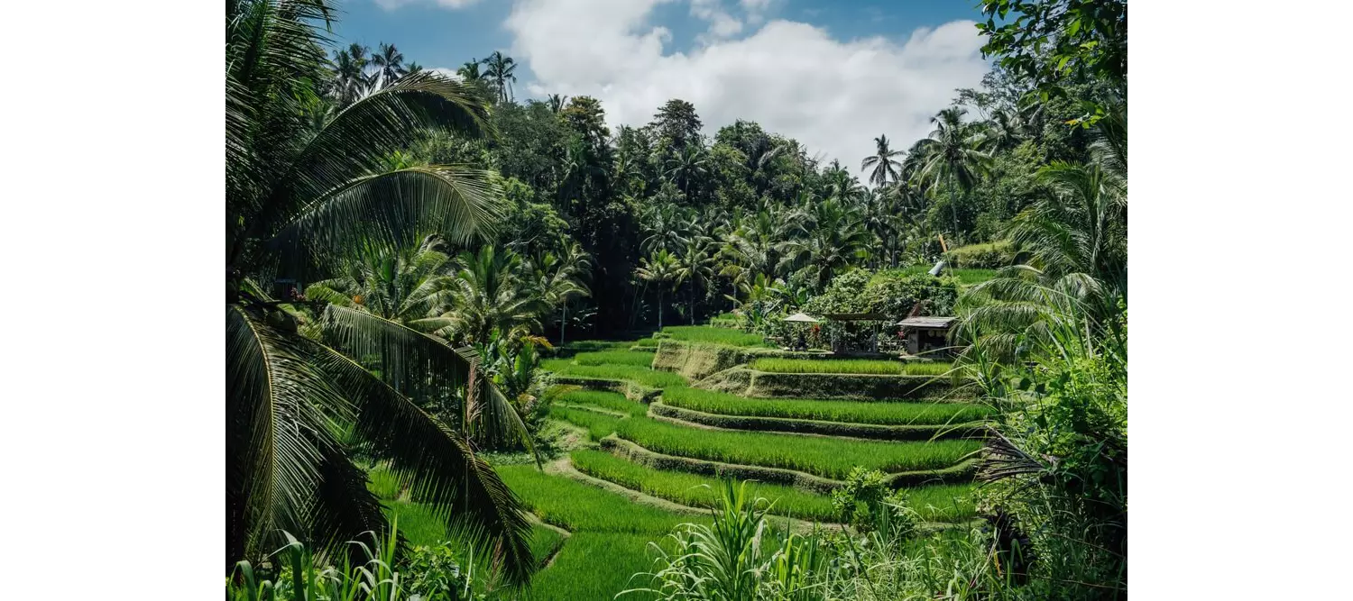 que ver en indonesia