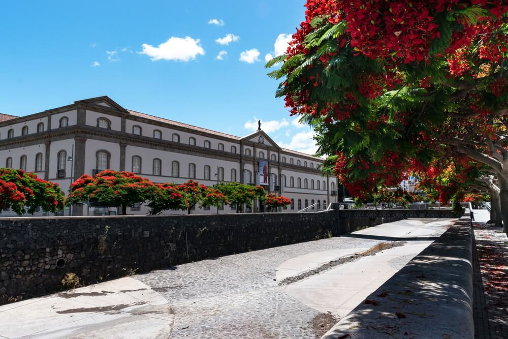 que ver en santa cruz de tenerife en un dia