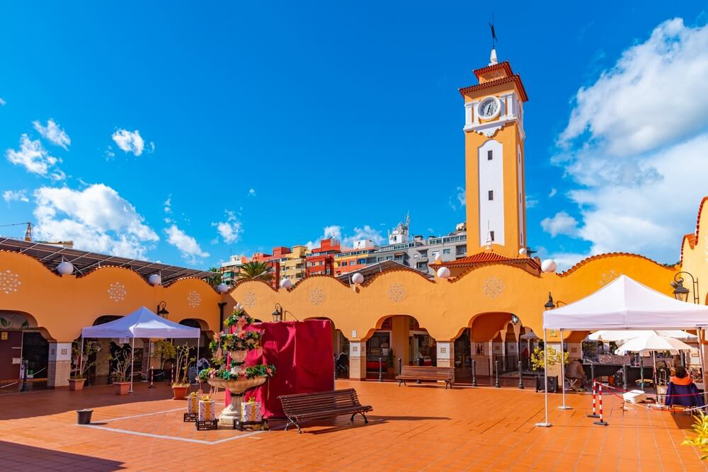 que ver en santa cruz de tenerife en un dia