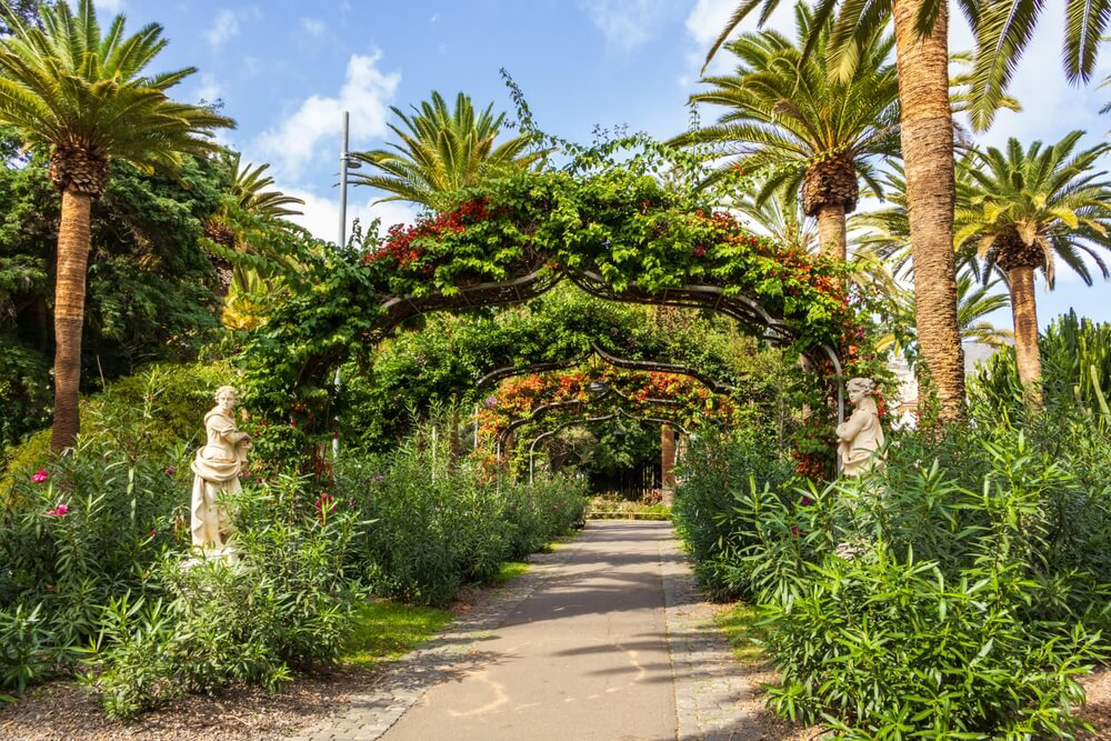 que ver en santa cruz de tenerife en un dia