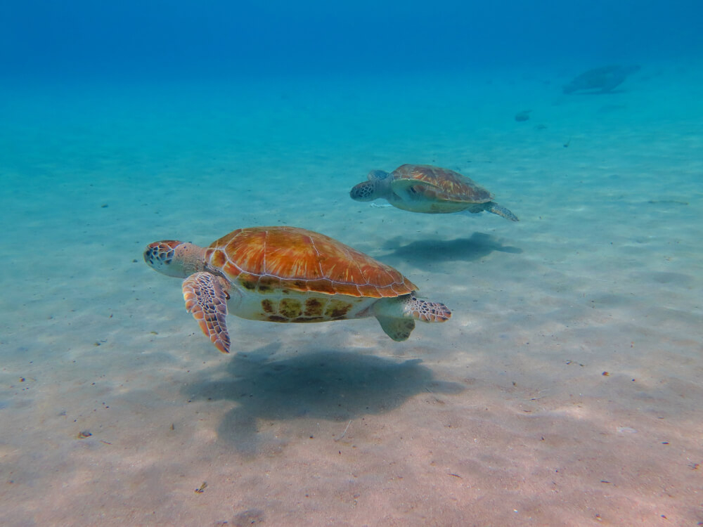 que ver en nicaragua