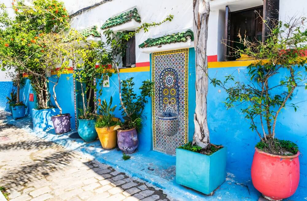 Rabat Sehenswürdigkeiten: blau-weiße Fassade mit Pflanzen in der Kasbah.