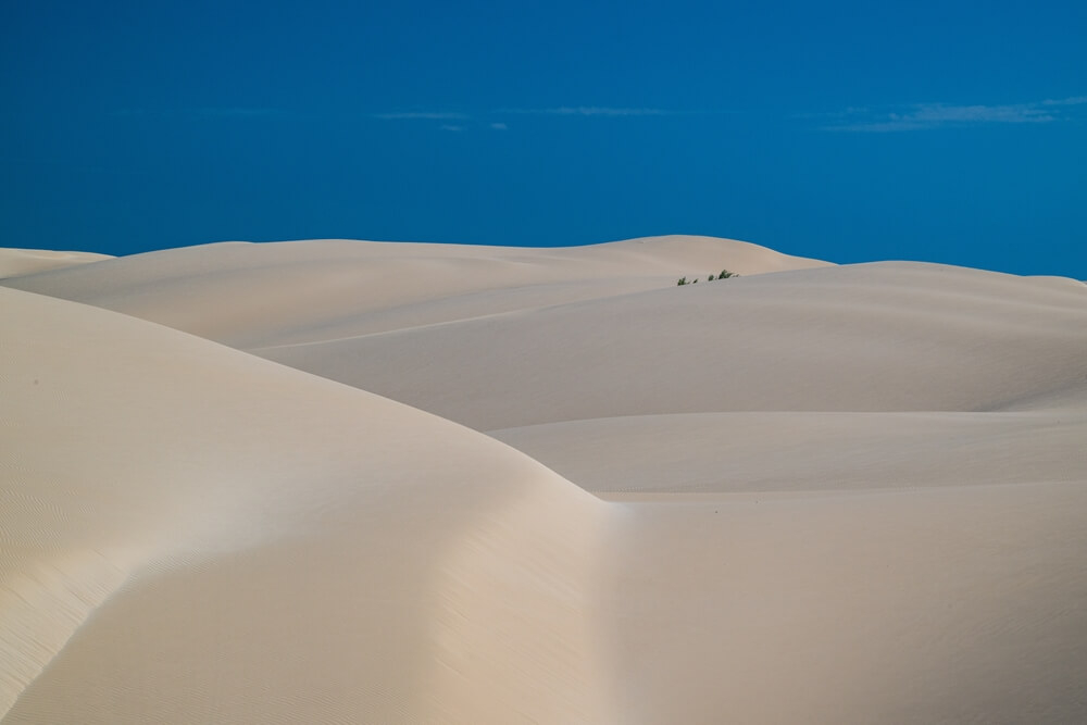10 Gründe für einen Aufenthalt im Sal Rey