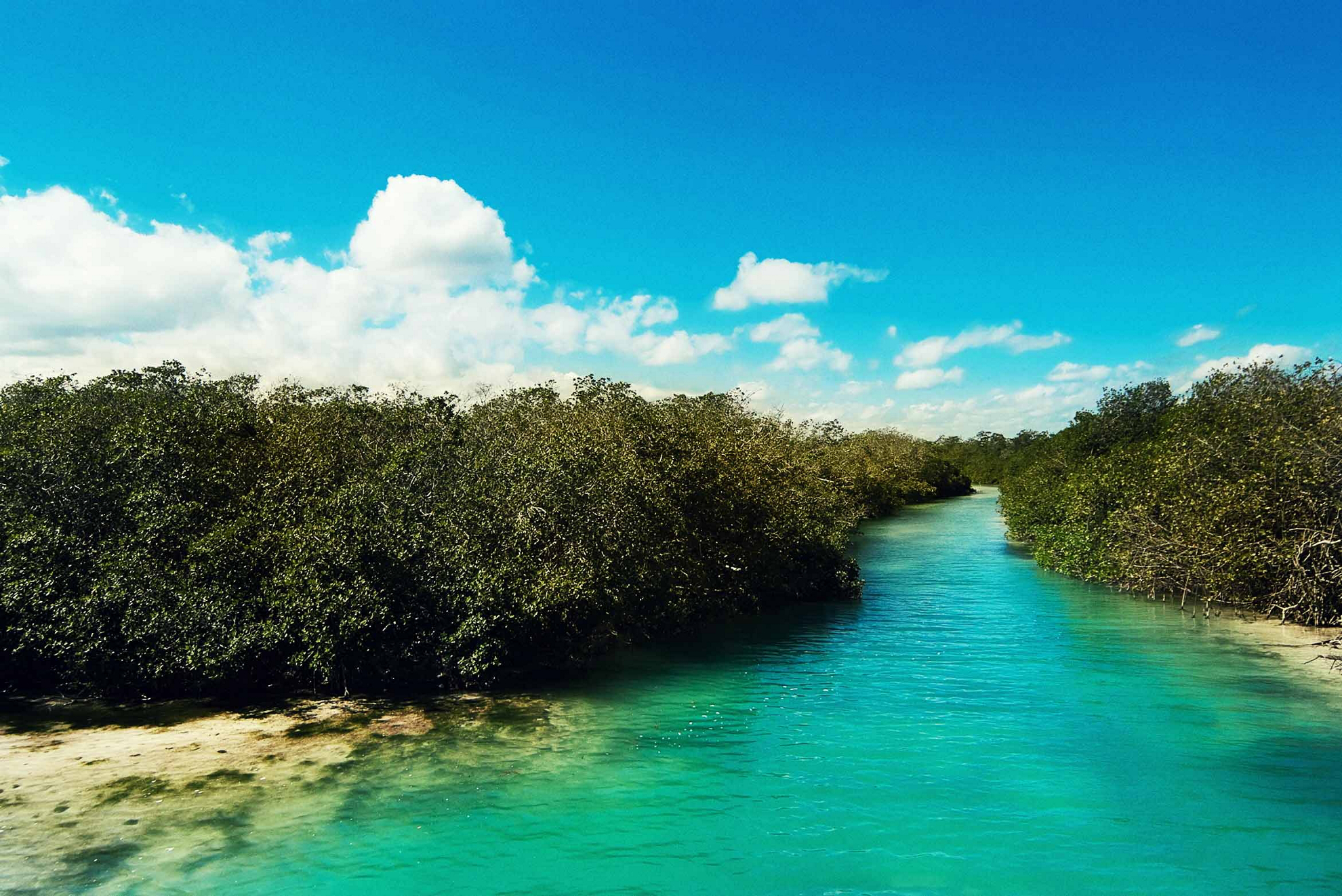 Viajes a Riviera Maya Todo Incluido 2021