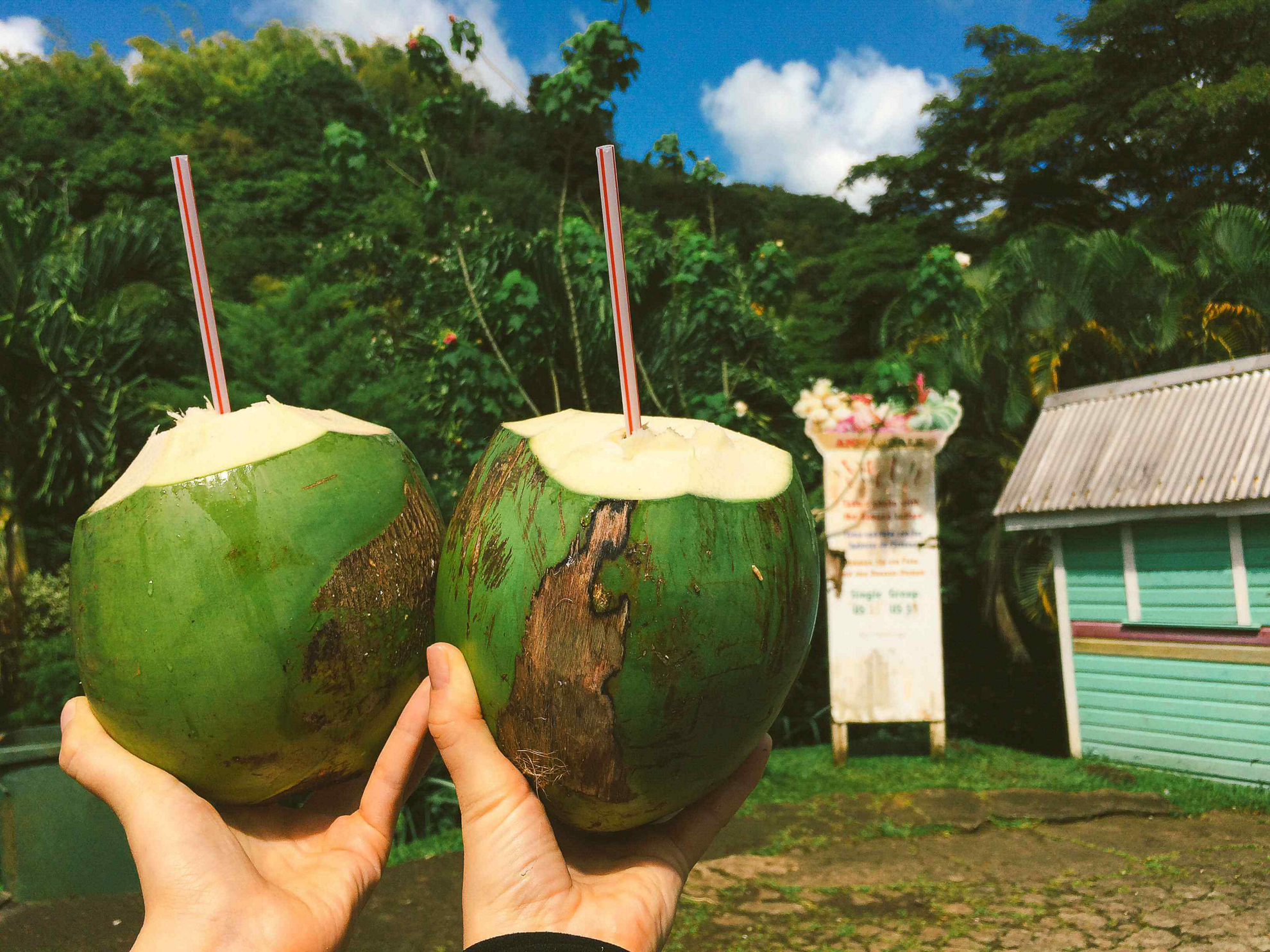 Two people tap their coconuts in cheers before a Riviera Maya nightlife experience