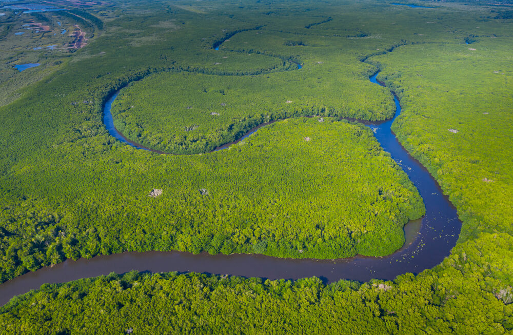 Ein Ausschnitt des Biosphärenreservats Marismas Nacionales Nayarit aus der Luft gesehen.