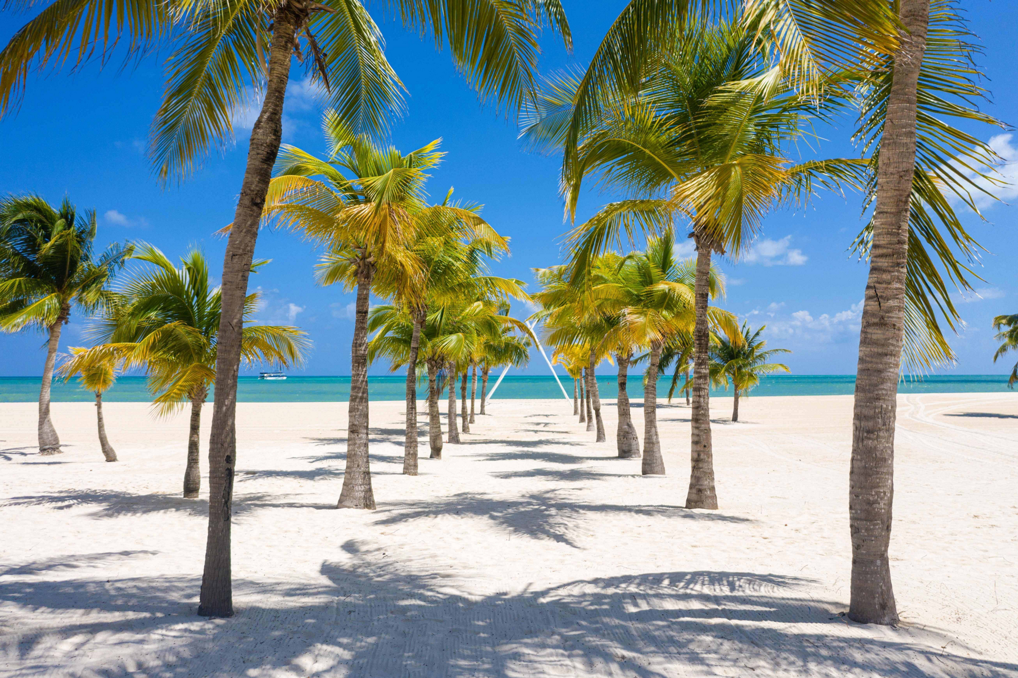Romantic things to do in Cozumel: White sand, palm tree lined beach with turquoise water