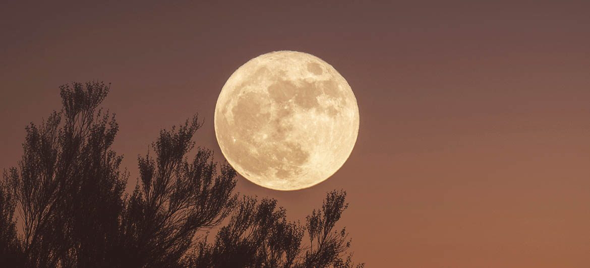 Un hotel unico progettato da ingegneri spaziali: Royal Hideaway Hotel sulla luna