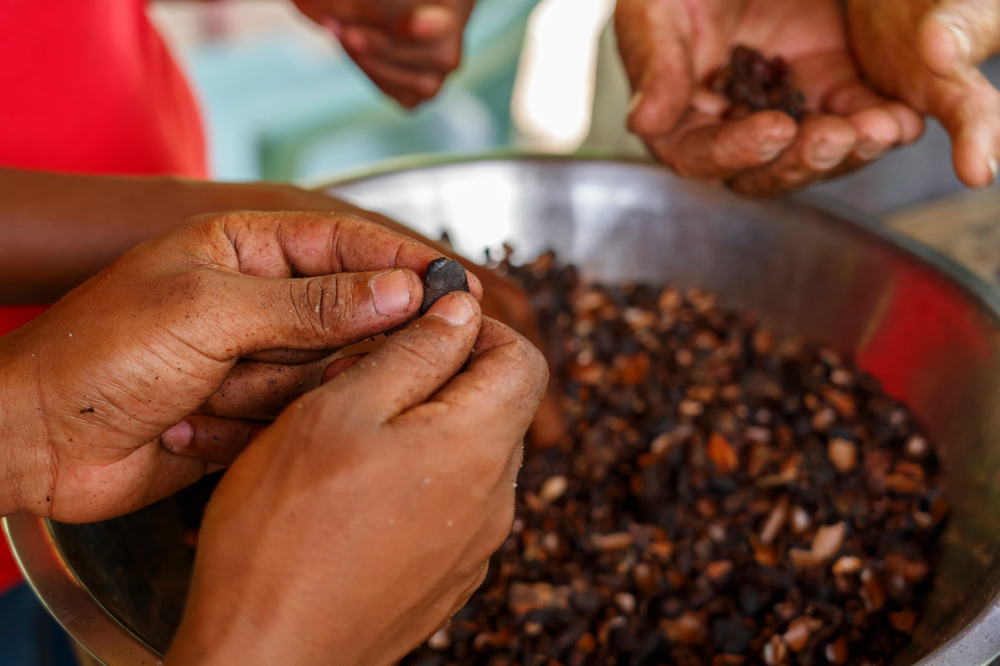 sendero del cacao republica dominicana