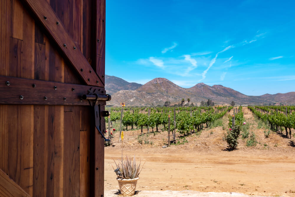 ruta del vino baja california