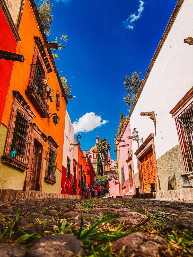 ruta del vino guanajuato