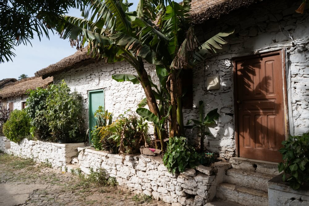 Rua Banana: A beautiful white stone house with a palm tree in the entrance