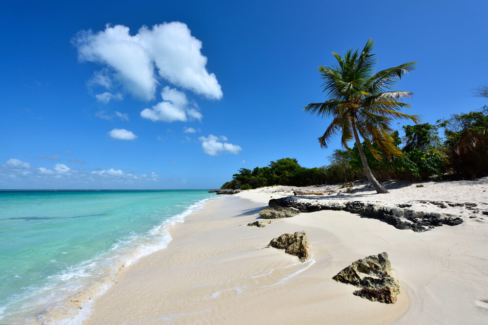 Saona Island is home to some of the best beaches in the Caribbean.