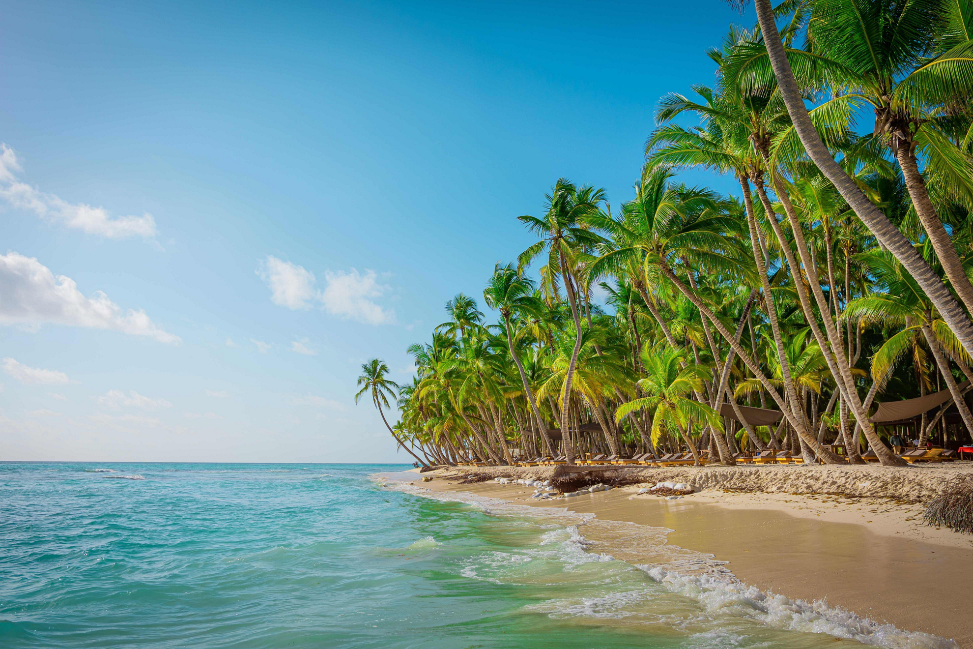 Saona Island is full of palm-tree dotted beaches and crystal-clear waters.