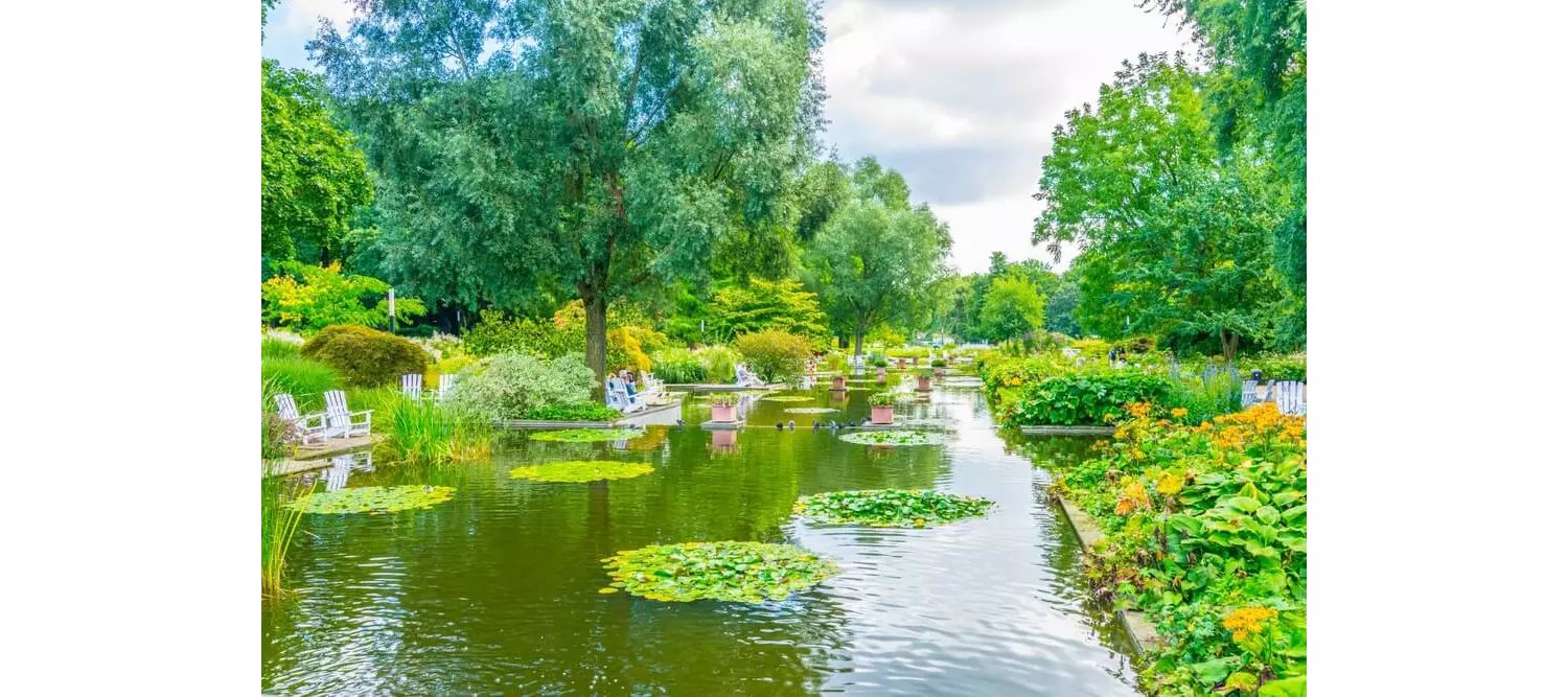 Aktivitäten in Hamburg: Bänke am Seerosenteich in Planten un Blomen.