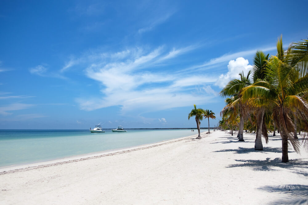 Weißer Sandstrand mit Palmen auf Cayo Blanco.