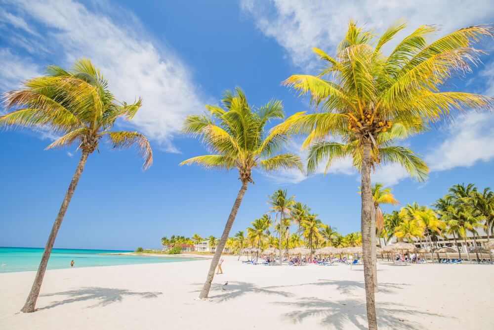 Kokospalmen und Hängematten am Strand in Varadero.