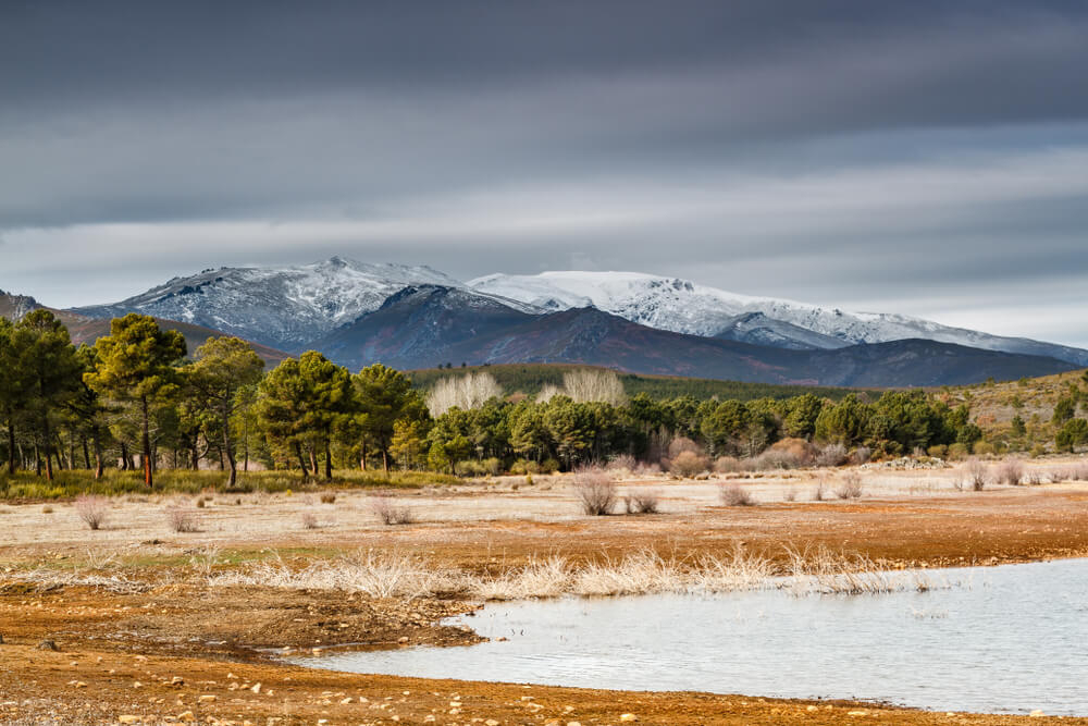setas de otoño  leon