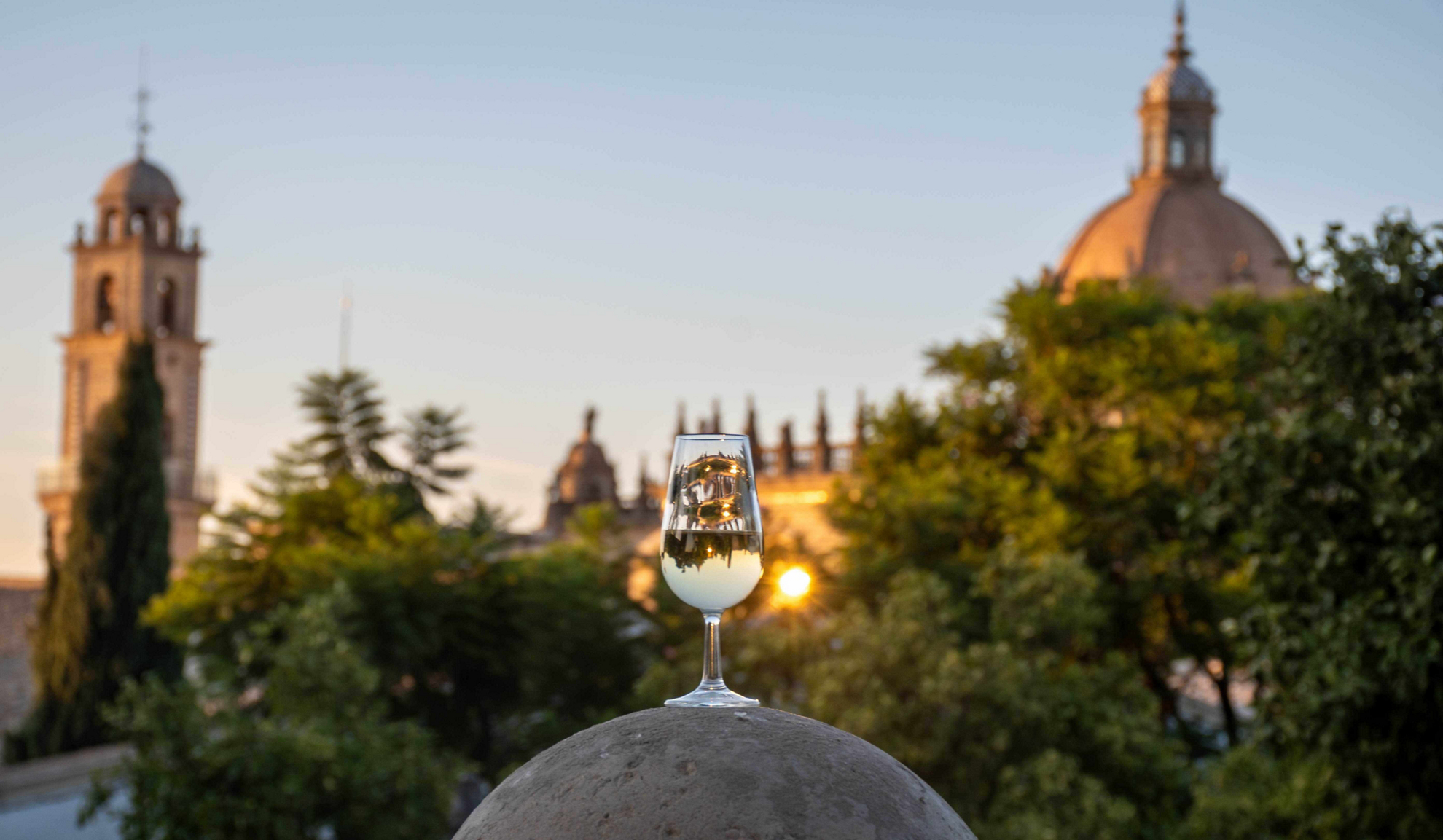Sherry: A sherry glass with a pale wine inside against an old city backdrop
