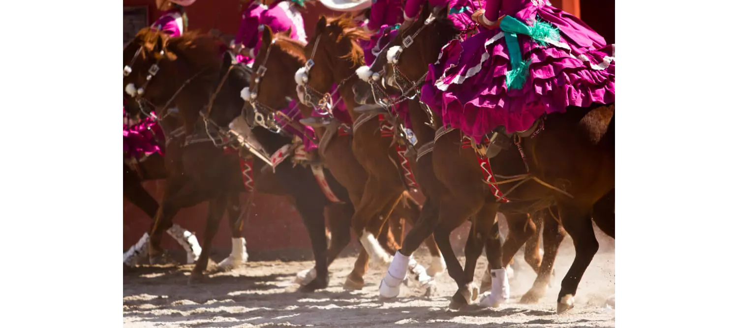 Dia del charro