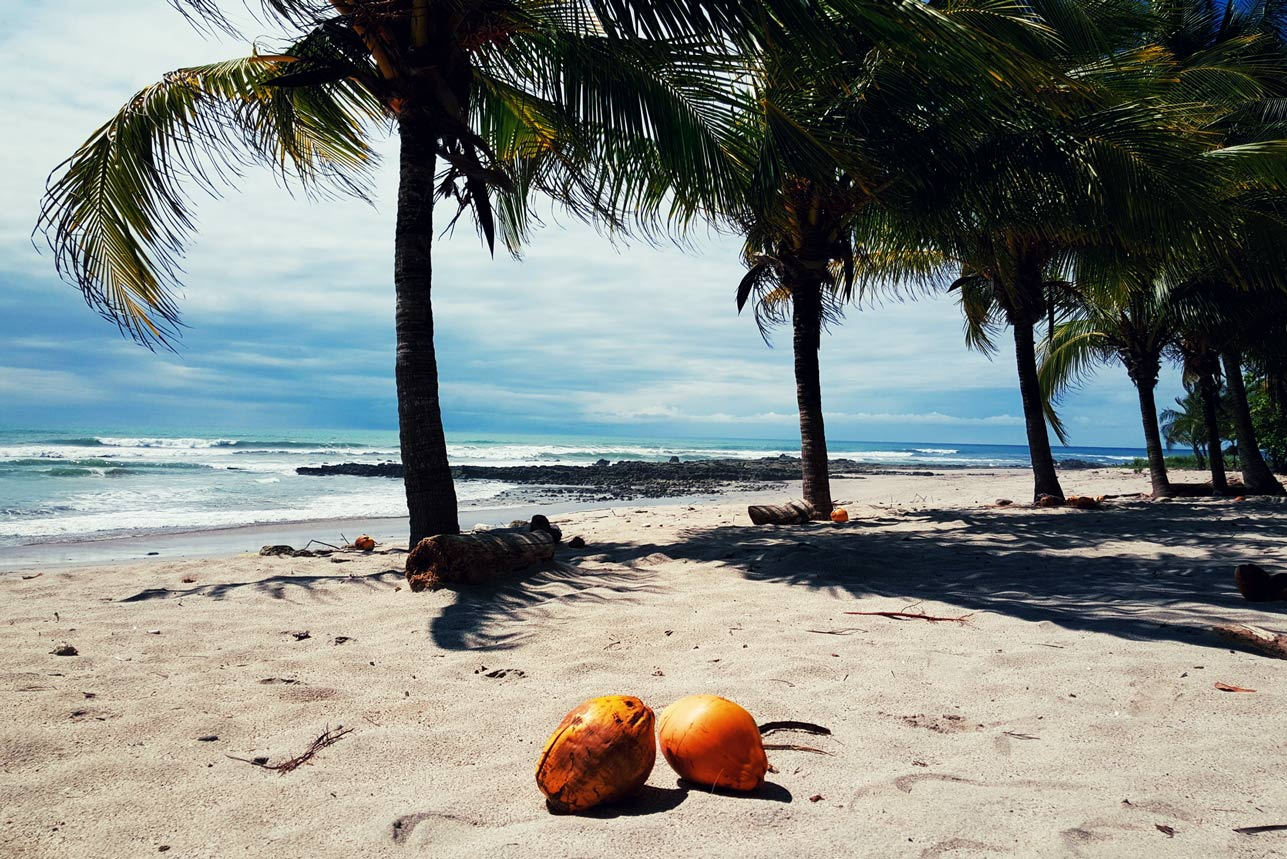 shutterstock_4524188682x-1