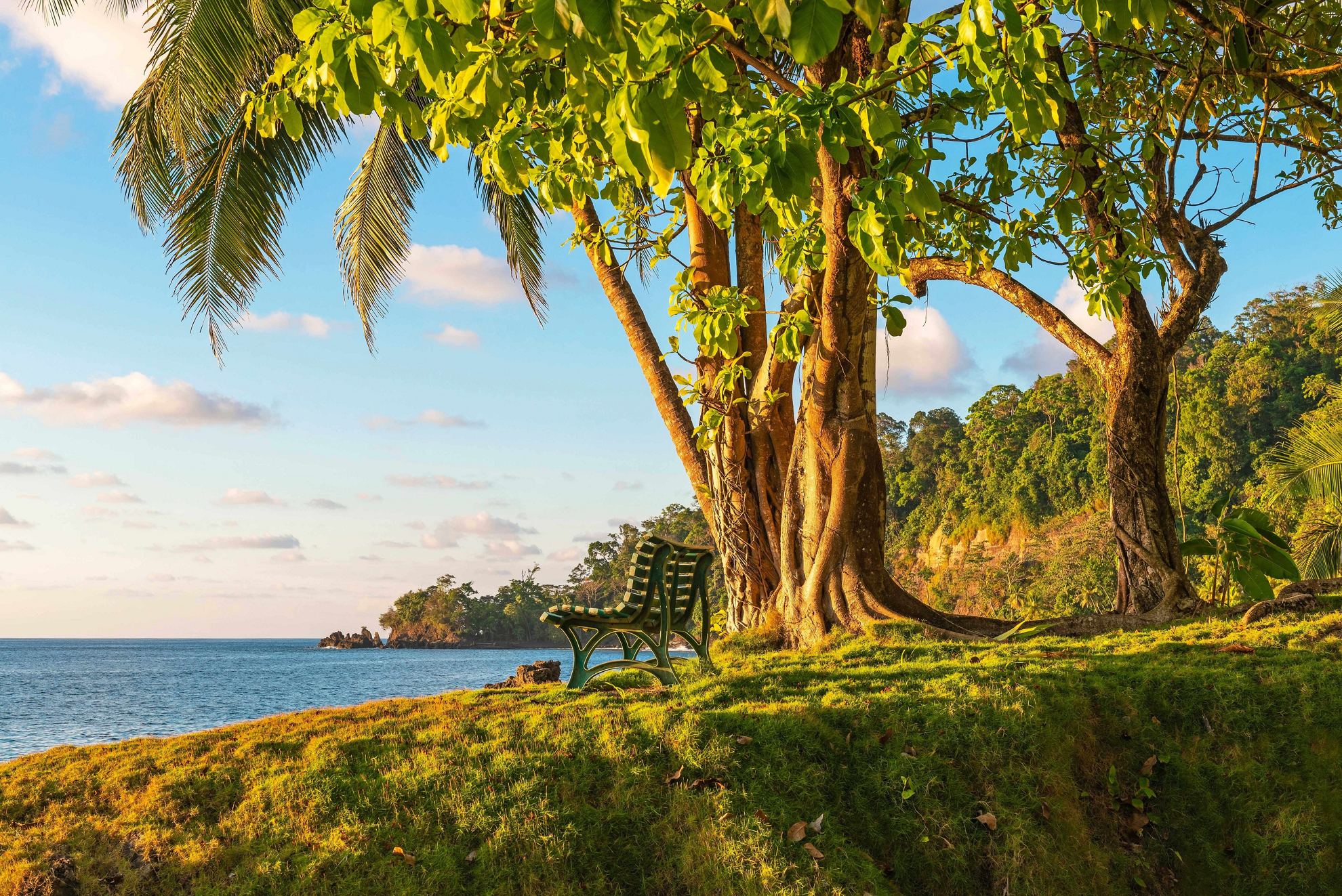 Slow travel: Green bench on a grassy verge overlooking the sea