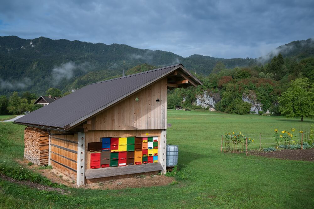 Slowenien Fakten: typischer Bienenstock in bunten Farben.