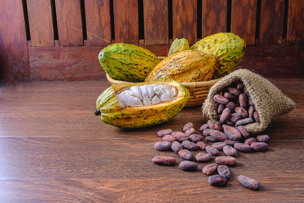 Kakaobohnen aus der Dominikanischen Republik.