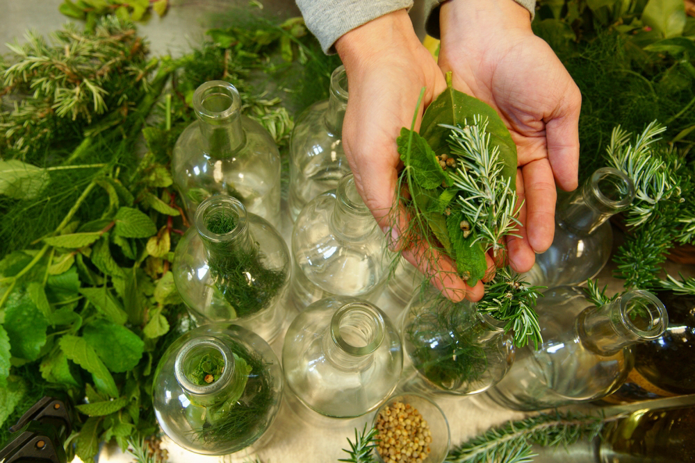 Hierbas liqueur: A woman’s hands holding herbs over a table of glass bottles filled with herbs