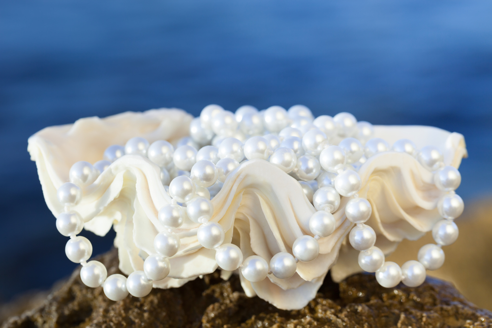 Majorica Pearls: A white pearl necklace inside a large white shell