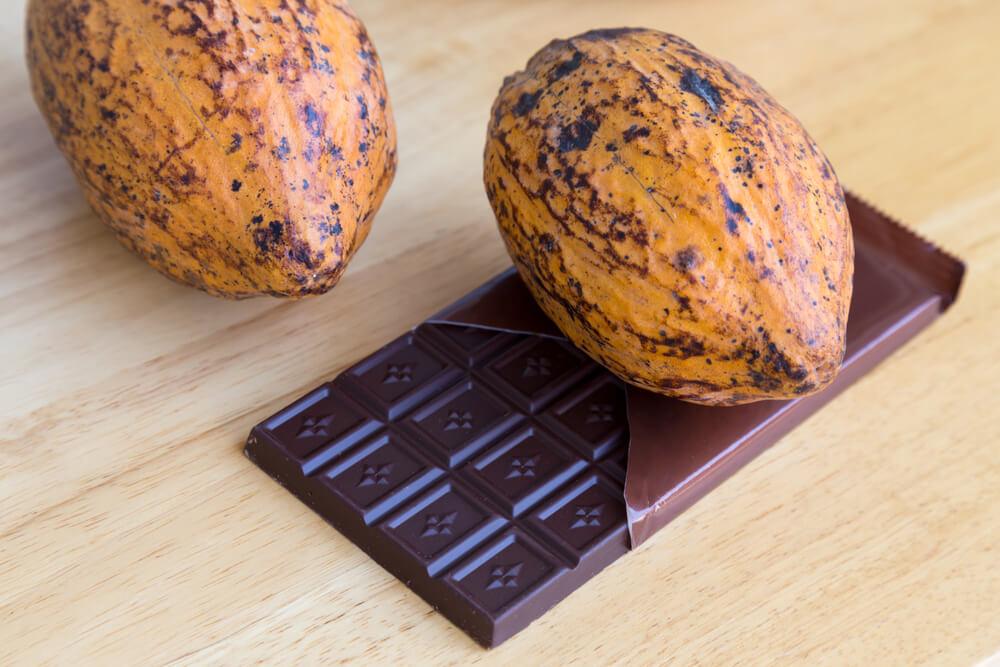 Dominican cocoa beans sit atop a bar of dark chocolate