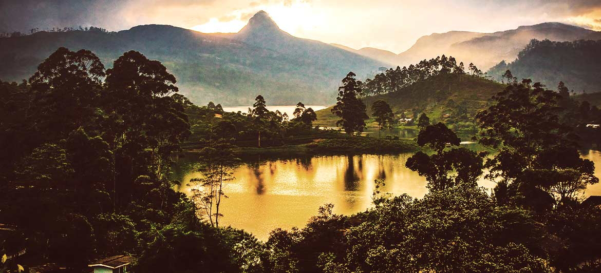 Rundreise Sri Lanka und Malediven: Perlen des Indischen Ozeans