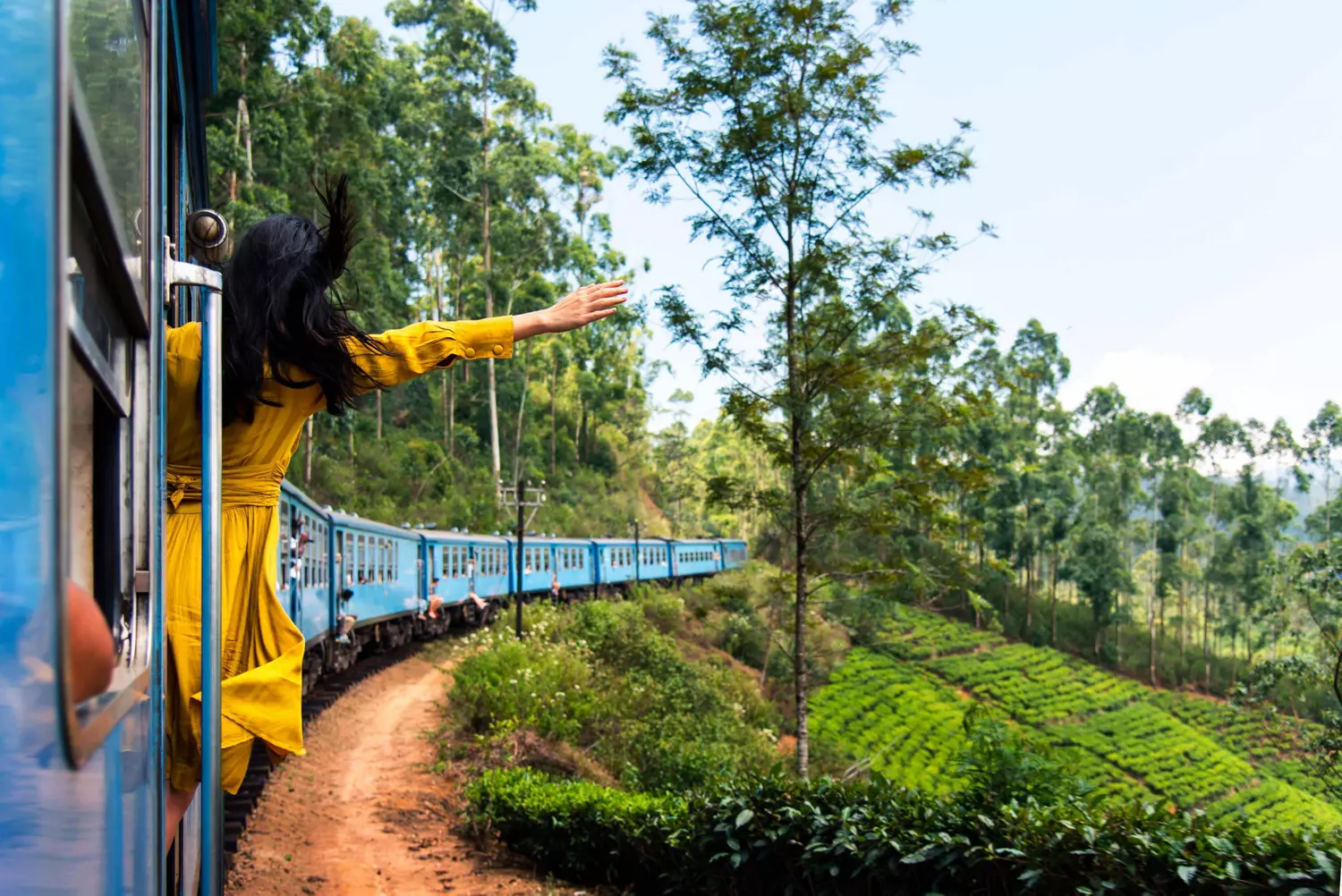 Sri Lanka mit dem Zug: Touristin winkt aus einem blauen Zug in der grünen Landschaft.