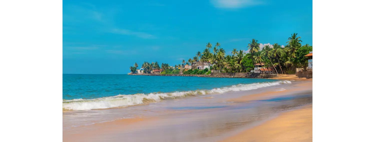 Sri Lanka schönste Strände: Beruwala mit goldenem, Sand, Palmen und kleinen Häuschen.