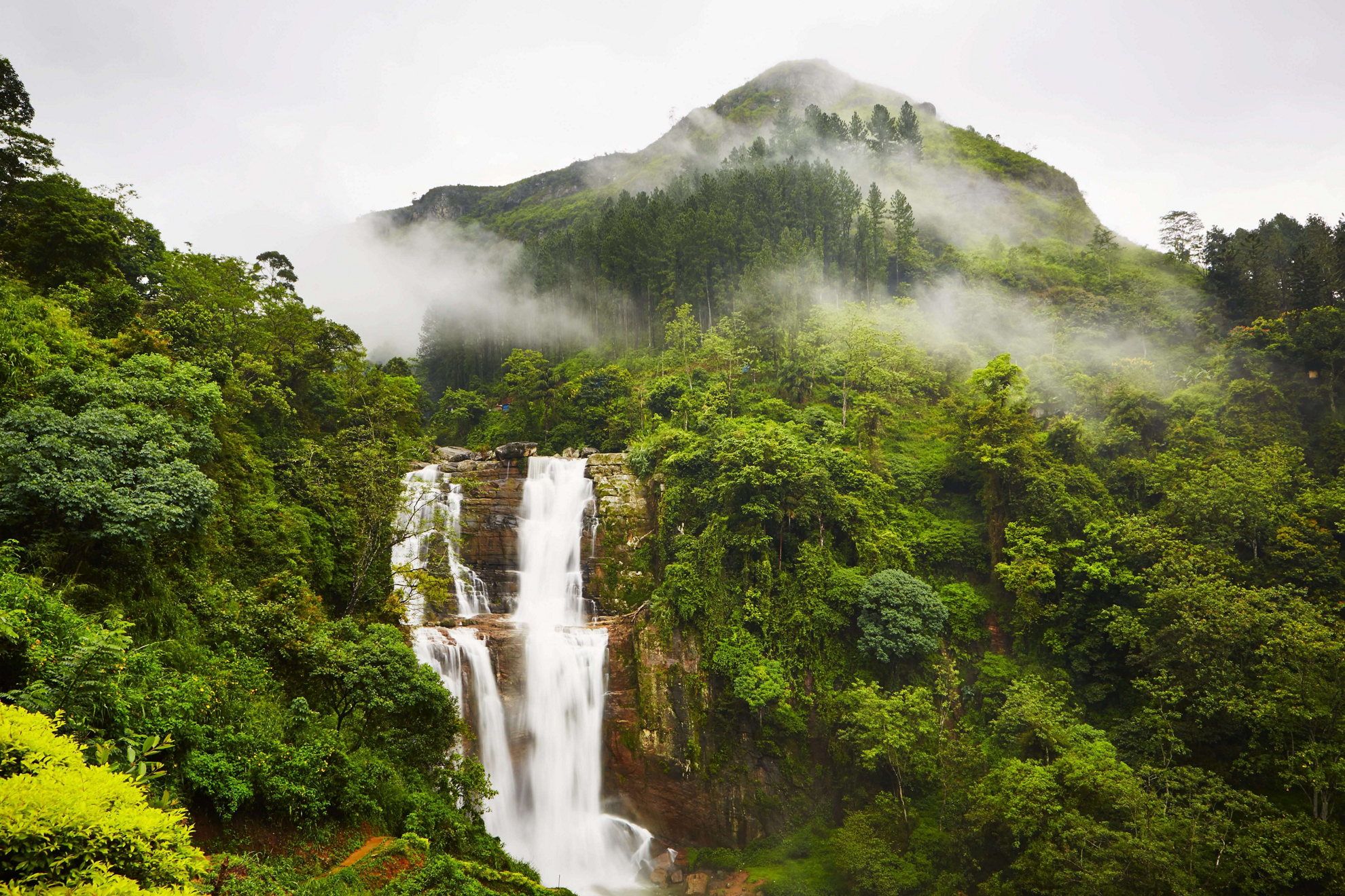 Sri Lanka Sehenswürdigkeiten: grüner Wald im Nebel mit Wasserfall