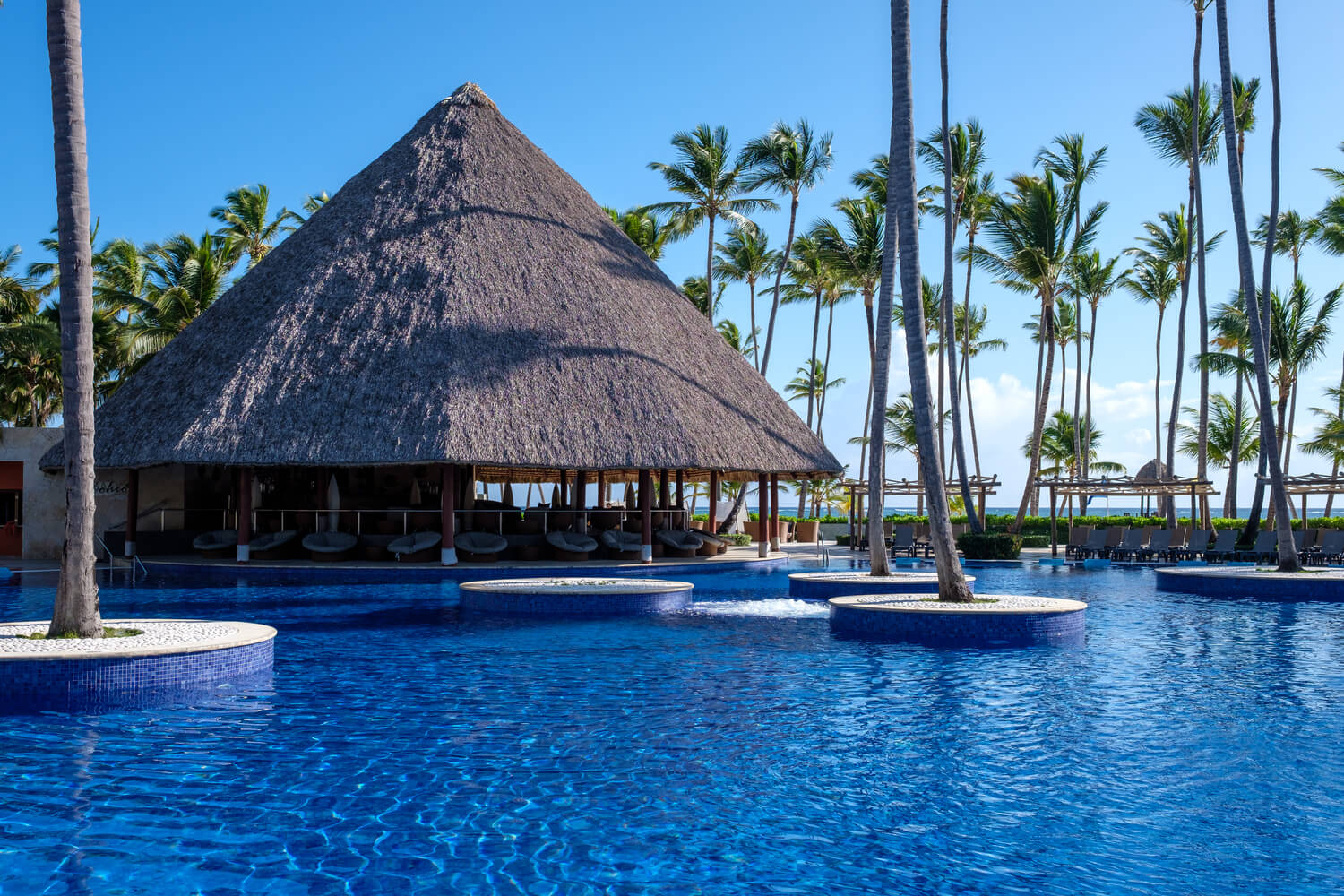 Book your stay at the Barceló Bávaro Grand Resort in Punta Cana during whale season in the Dominican Republic 