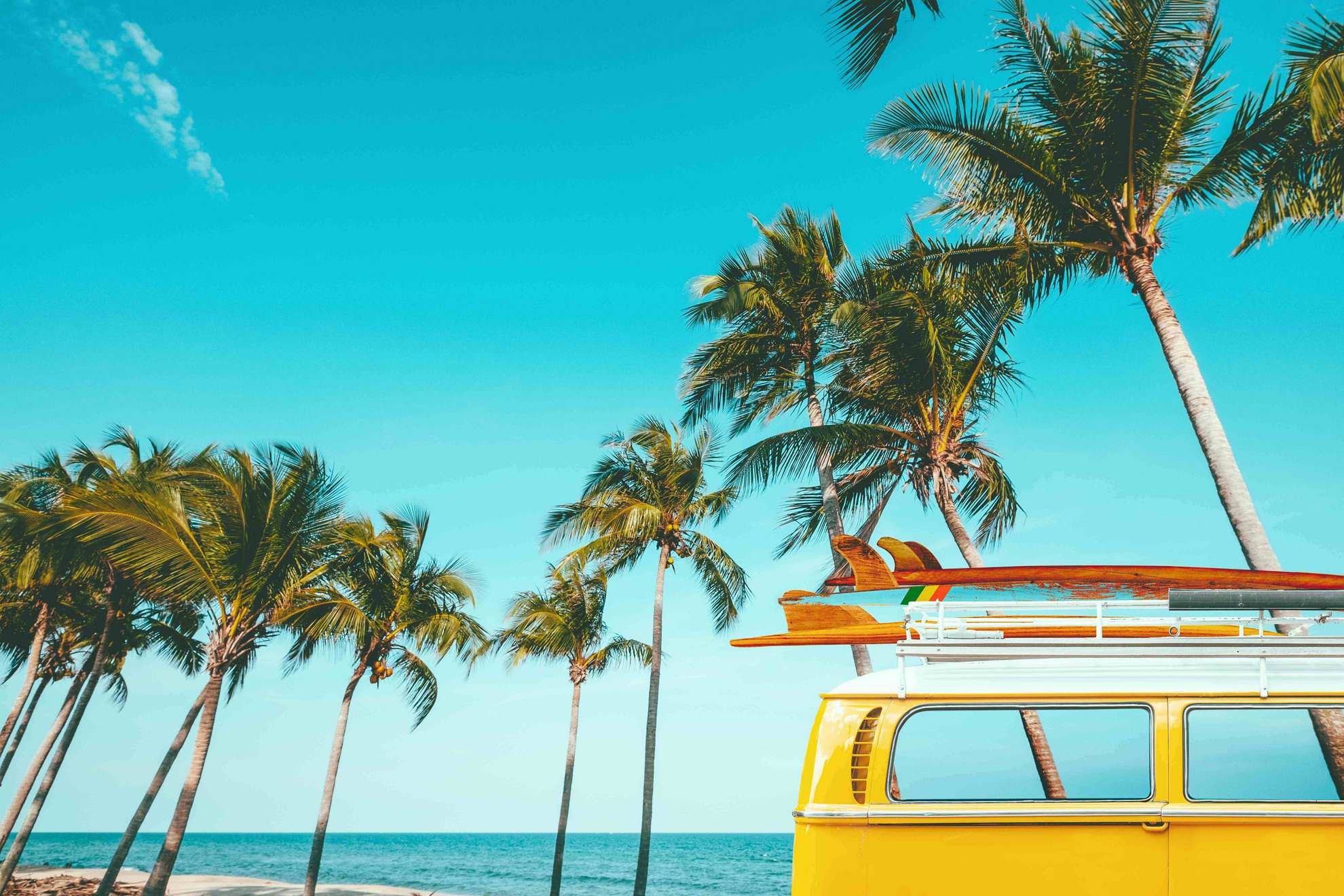 Surfen in der Karibik und Mittelamerika: Van mit Surfbrättern auf dem Dach am Palmenstrand.