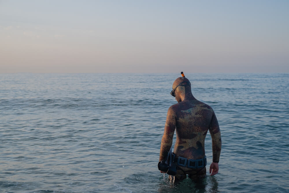 Tauchen auf Teneriffa: Tauchspots mit leichtem Einstieg.