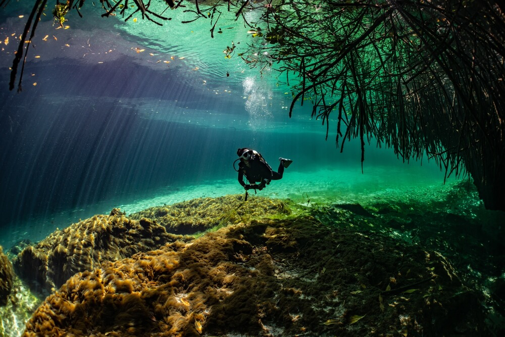 Taucher in einem Cenote in Mexiko.