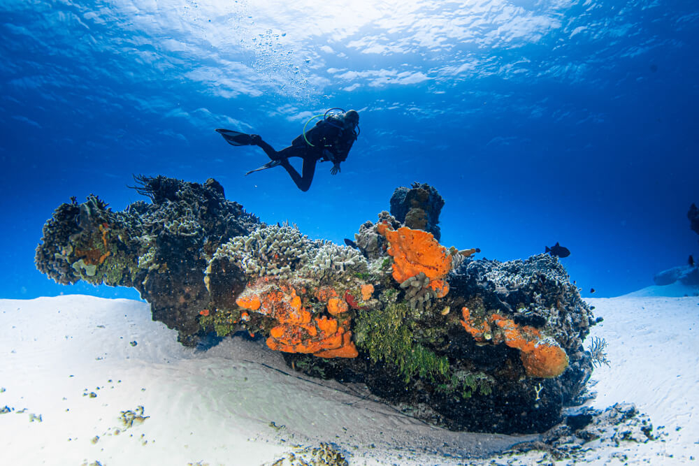 Tauchen in Mittelamerika: ein Taucher an einem Riff bei Isla de Cozumel, Mexiko.