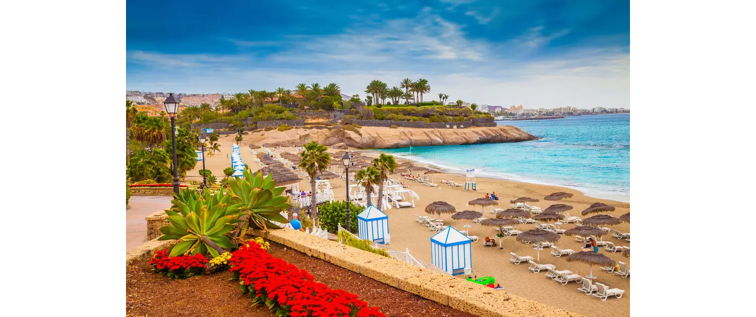 Teneriffa schönste Strände: goldgelber Strand mit Liegen und Palmen.