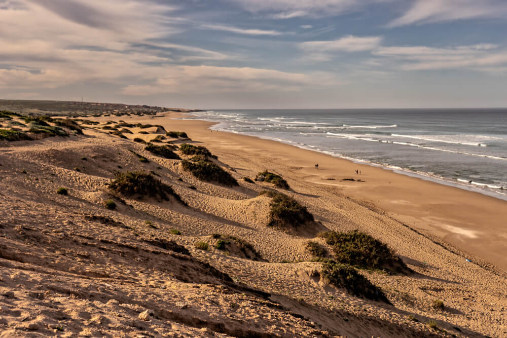 Souss Massa: Sandy dune-like landscape