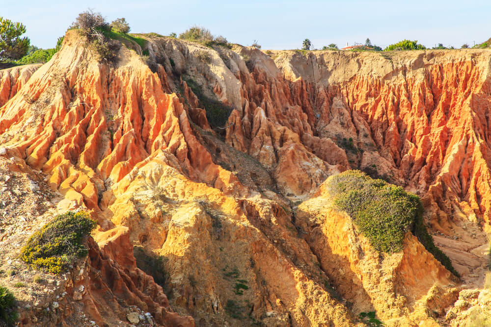 Ria Formosa: An orange, rugged rockface with green vegetation 