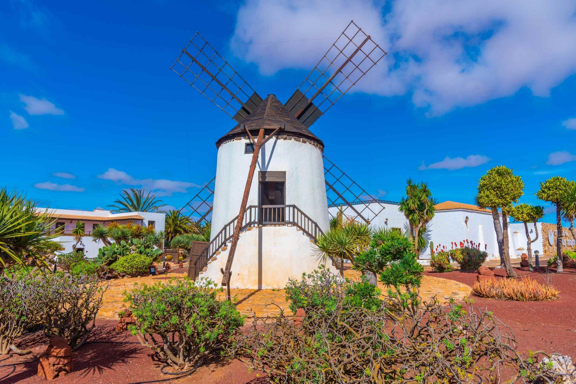 Things to do in Fuerteventura: A white windmill against volcanic setting