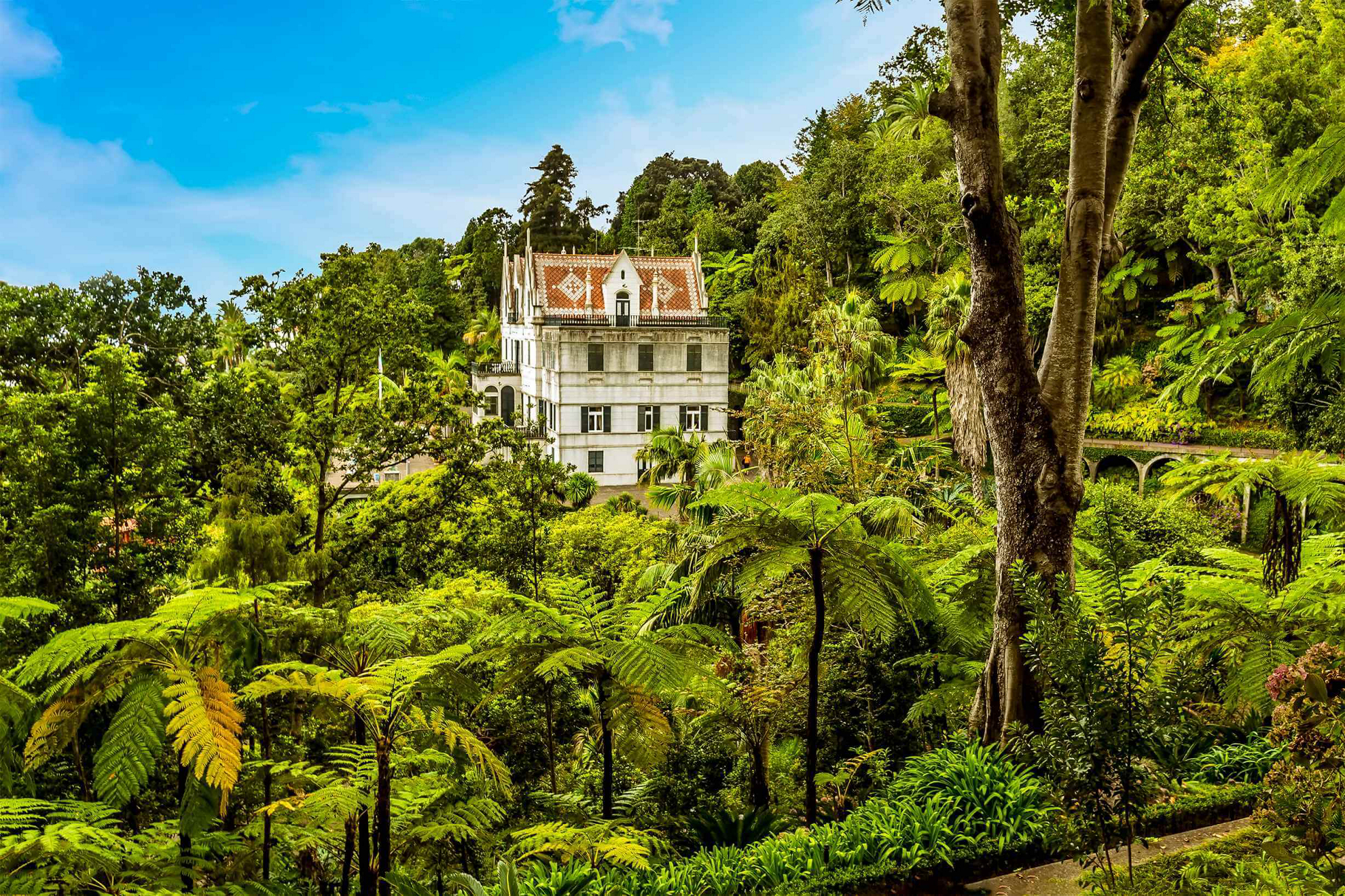Things to do in Funchal: Traditional house in green forest in Funchal