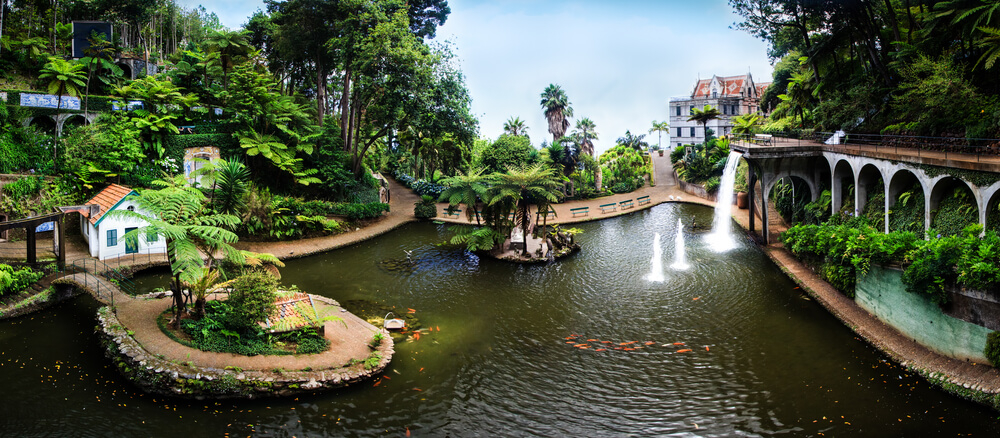Things to do in Funchal: The gardens Monte Palace Tropical Garden in Funchal