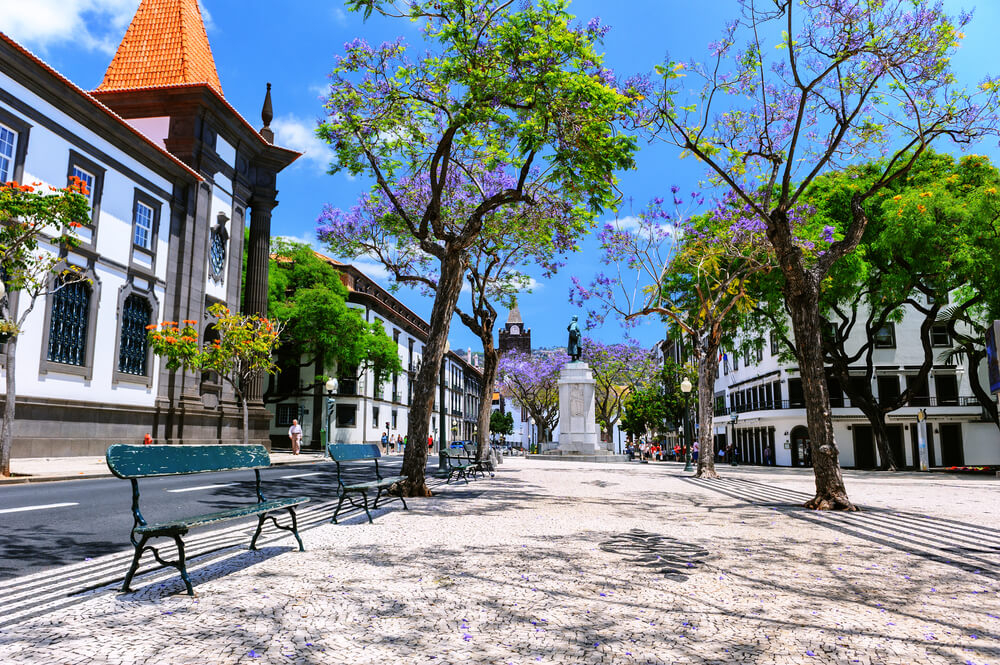 Things to do in Funchal: White buildings with black stone in the centre of Funchal