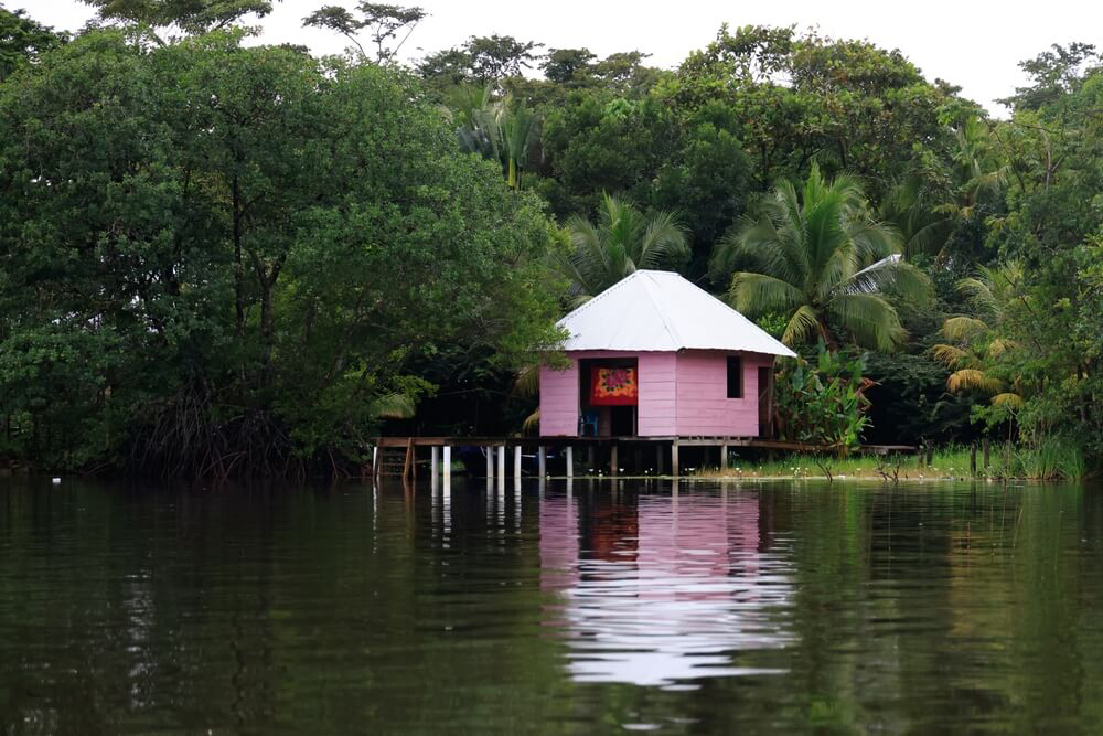 Río Dulce: A mangrove with a pink wooden hut on the water
