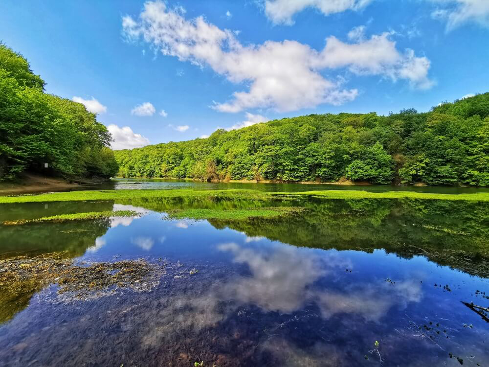 Belgrad Forest: the luscious green landscapes reflected on a still pond