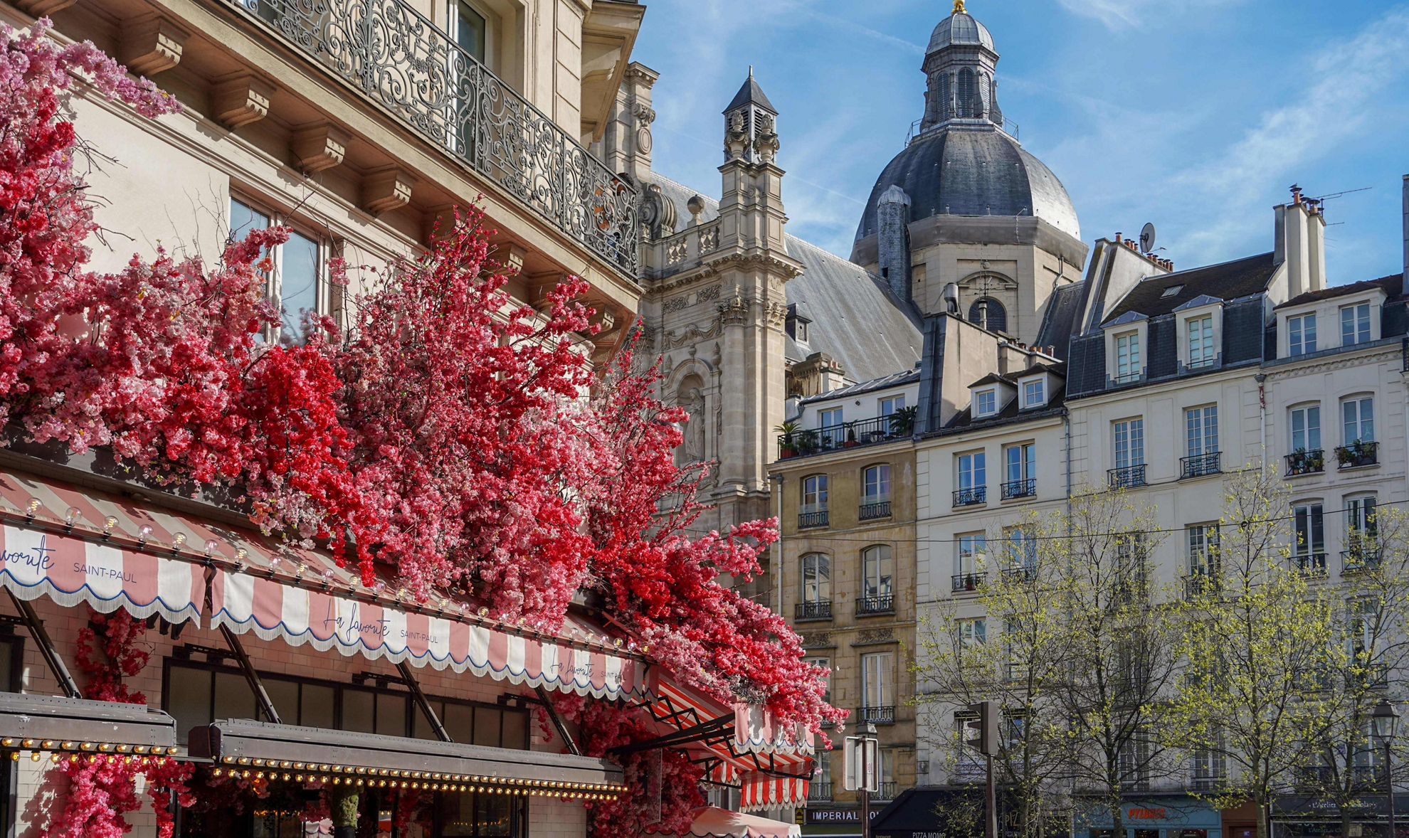 Things to do in Le Marais: A typical Le Marais skyline with an old building and pink blossom